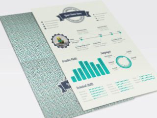 Free Infographic CV template